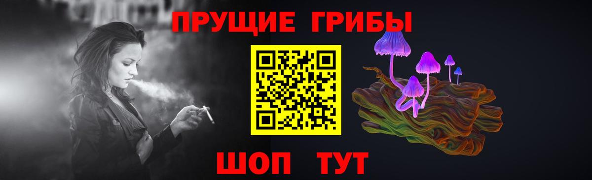Галлюциногенные грибы Magic Shrooms  как найти закладки  Бердск  Вход с VPN  Галлюциногенные грибы Magic Shrooms 